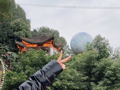 -巴倒烫陆派重庆火锅(南山店)