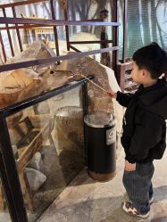 -酷嗒动物文化乐园(cutezoo西溪乐天城店)