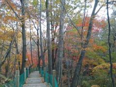 android_upload_pic-丹东天桥沟景区