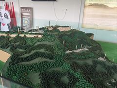 -窦圌山风景区