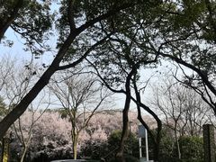 -渤公岛生态公园