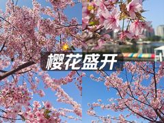 -新江湾城公园
