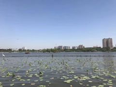 -济南大明湖景区