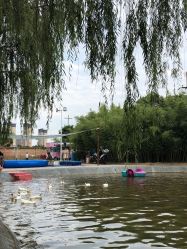 -上美四季动物农场
