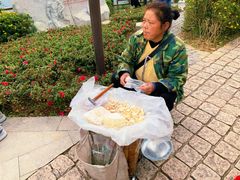 -铁山坪森林公园