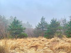 -浙西天池-售票处