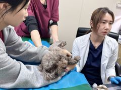 -美联众合爱康动物医院•复杂内科•肿瘤科•牙科•腔镜诊疗中心