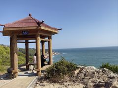 -广东惠东海龟国家级自然保护区
