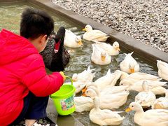 -季高兔窝窝亲子园(上海薰衣草公园店)