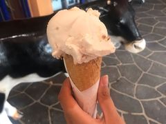 -Dooley's Premium Ice Cream