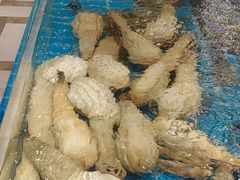 -新丁香海鲜酒店(银海商贸城店)