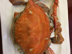 -北塘海鲜·天津菜(大光明桥旗舰店)
