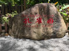-西双版纳傣族园