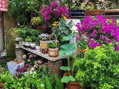 -金陵花卉交易市场