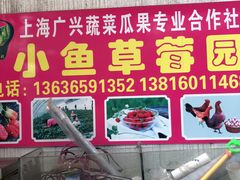 -小鱼草莓采摘园农家乐·小鱼餐厅