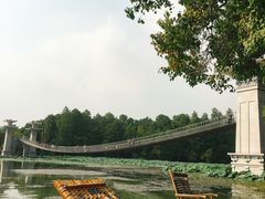 -东湖落雁景区