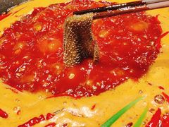 -纸盐河码头火锅(十八梯店)