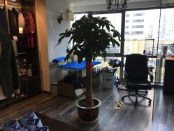点击看大图 -优刻西服西装定制(金轮国际广场店)