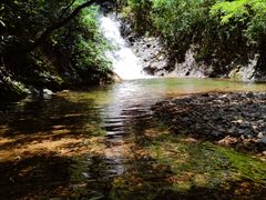 -东天目山风景区