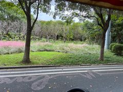 -贡湖湾湿地公园
