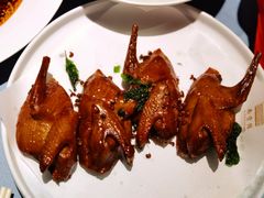 贡椒乳鸽王-南堂館川菜文化餐厅(天府店)