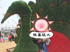-嵖岈山风景区