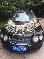 -蚂蚁婚车