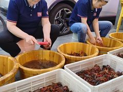-可可大虾武汉土菜大排档(万松园1店)