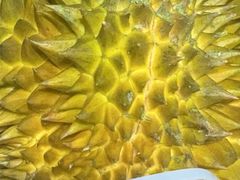 -乐凯撒披萨(南山书城店)