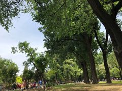 -二一九公园