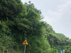 -杭州半山国家森林公园