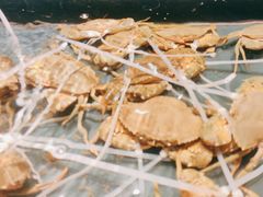 -龙宴海鲜城(经中路店)