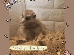 -平行世界·猫咖(首经贸店)