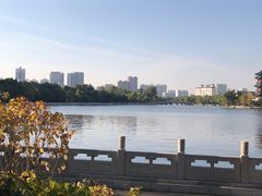 -迎泽公园