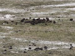 -宁波野生动物园