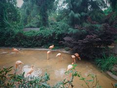 -云南野生动物园