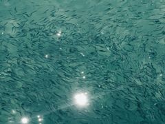 -亚龙湾海底世界