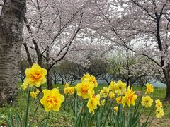 -苏州上方山国家森林公园