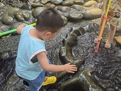 -成都市活水公园