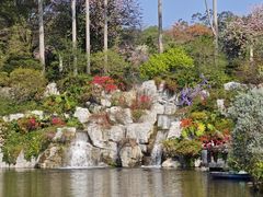 -云溪植物园
