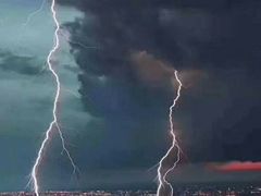 -猫咪博物馆(顶澳仔猫街店)