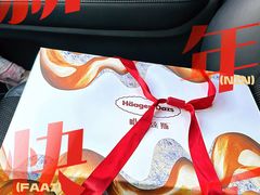-哈根达斯(西安高新店)