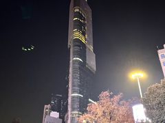 -紫峰大厦
