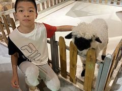 -天河城购物中心