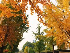 -中国石油大学（北京）(北京西校区)