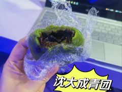 -沈大成(城隍庙店)