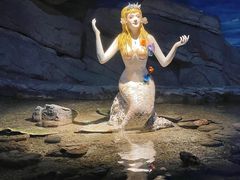 -西安曲江海洋极地公园