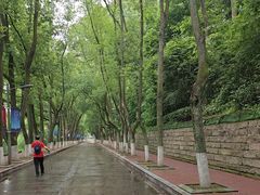 -重庆文理学院(星湖校区)