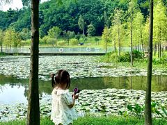-东莞植物园