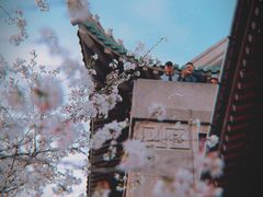 -武汉大学-樱园
